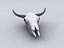 cowskull high2