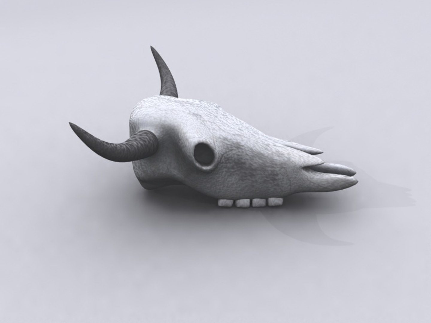 cow skull 3d 3ds https://p.turbosquid.com/ts-thumb/eG/CqrxO2/Q6T9FktM/high0024/jpg/1368545843/1920x1080/fit_q87/6e352ccc2740f80e720b5b648880edf76610c22f/high0024.jpg