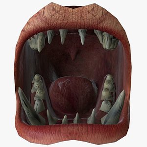 Mouth Rig 3D Models for Download | TurboSquid