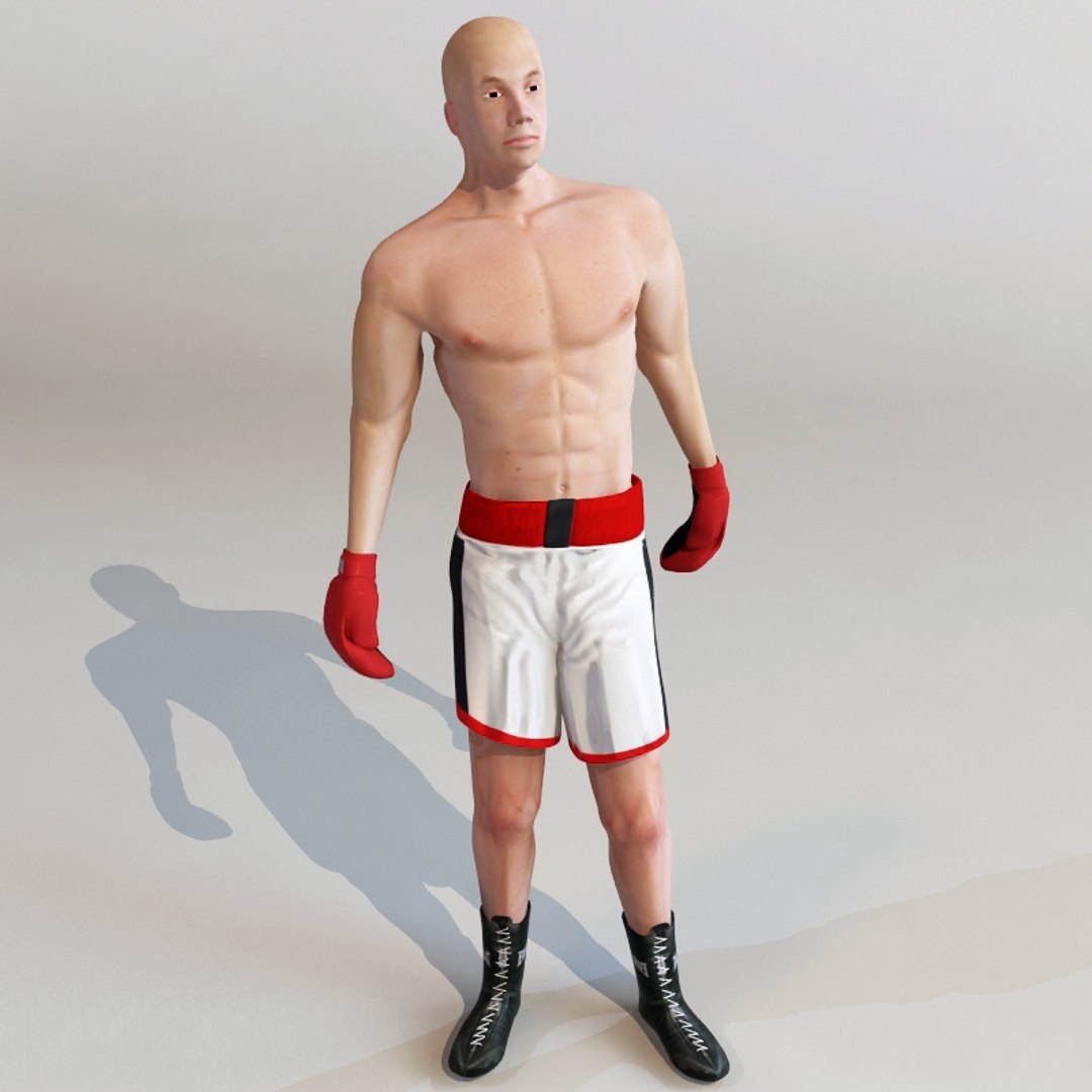 Boxer Rigged Animation 3d Model