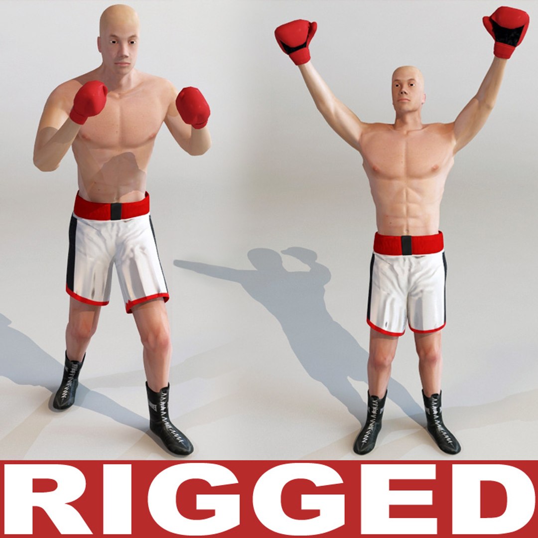Boxer Rigged Animation 3d Model