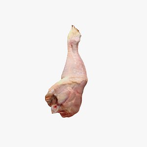 3D Raw Chicken Drumstick 3D Model model