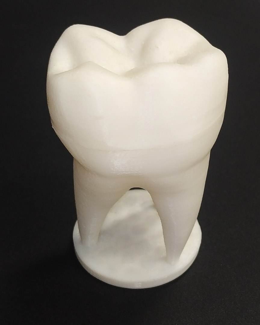 Money Tooth - Big Model - TurboSquid 2115027