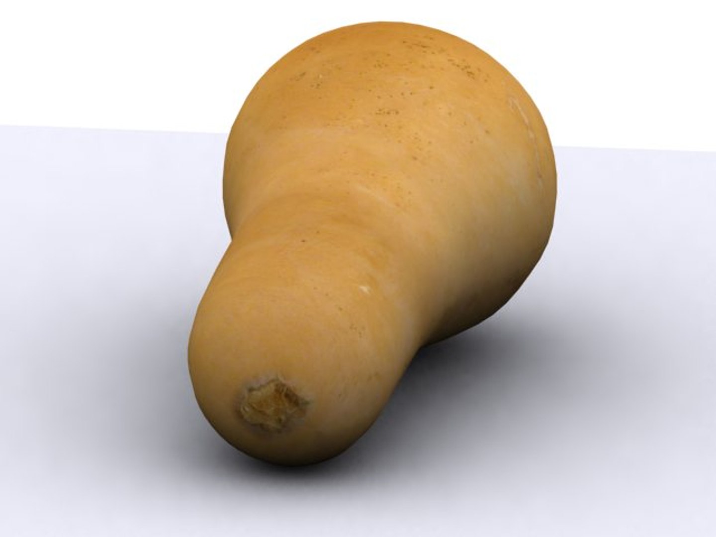 butternut squash 3d model https://p.turbosquid.com/ts-thumb/eG/SzOtFw/Qccn6F21/front2/jpg/1071273475/1920x1080/fit_q87/4205a7b39b2745a14c4e4bb71215018e11269087/front2.jpg