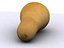 butternut squash 3d model