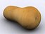 butternut squash 3d model
