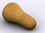 butternut squash 3d model