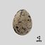 3D fresh quail egg model