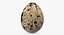 3D fresh quail egg model