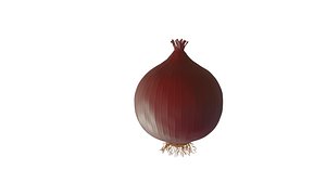 3D onion