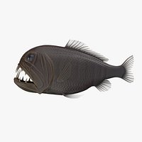 Fangtooth