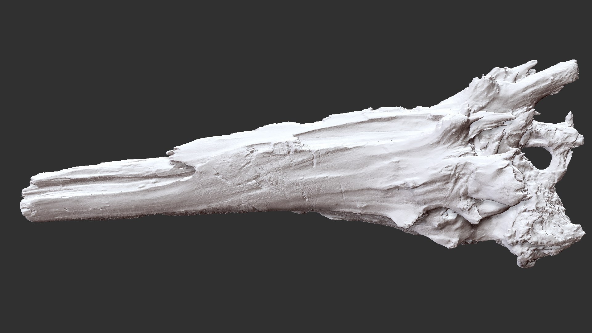 3D Withered Tree Trunk 3d Scan - TurboSquid 2148542