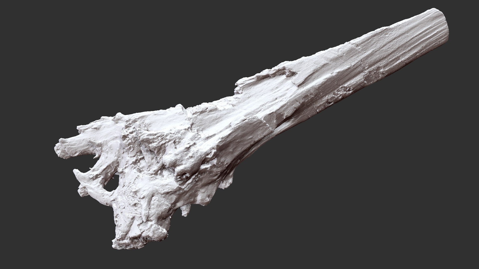3D Withered Tree Trunk 3d Scan - TurboSquid 2148542