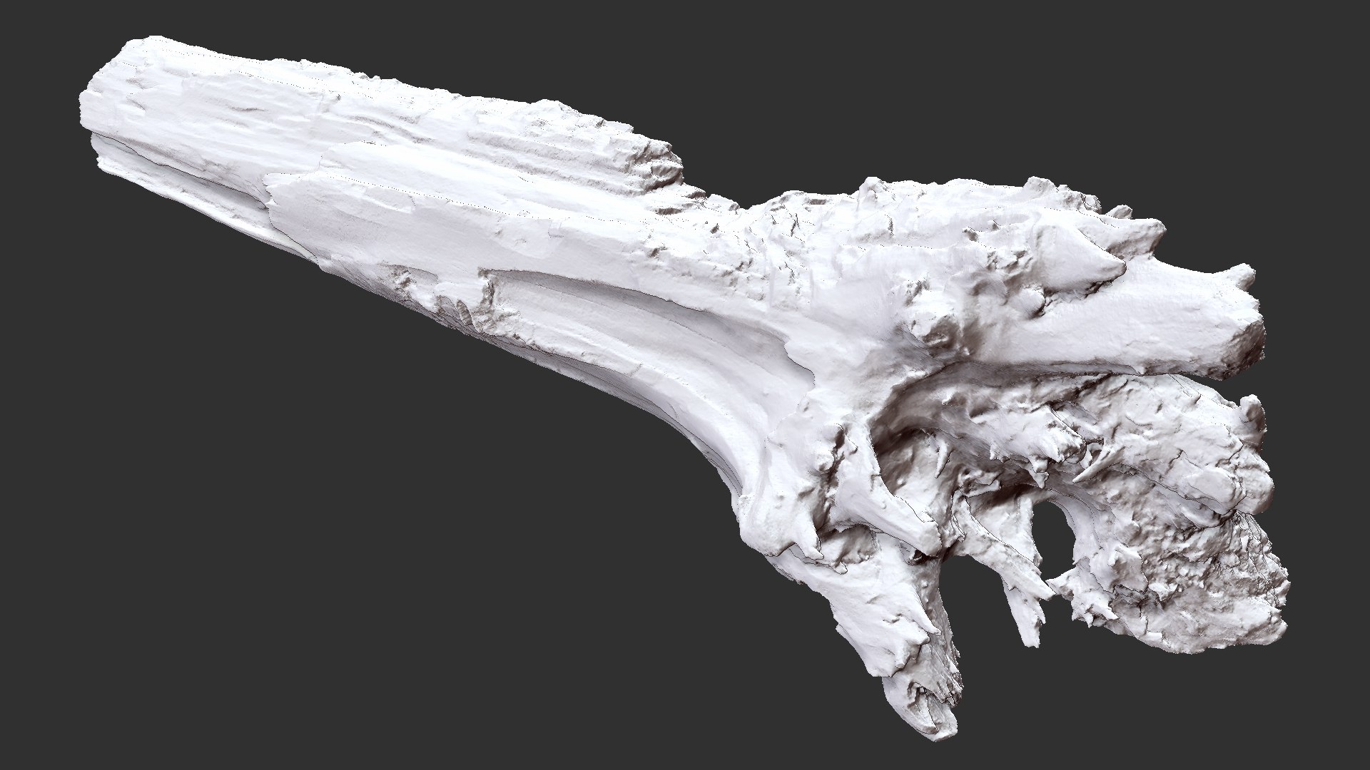 3D Withered Tree Trunk 3d Scan - TurboSquid 2148542
