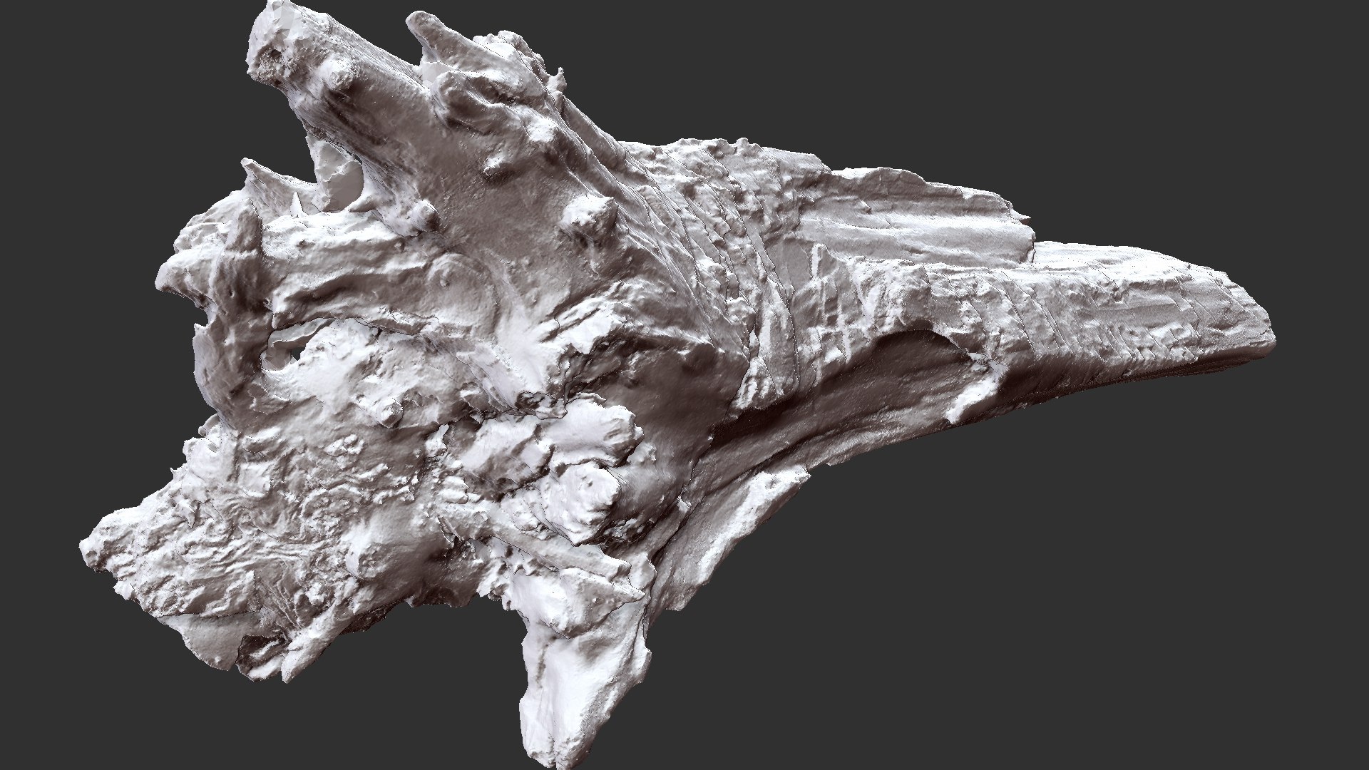 3D Withered Tree Trunk 3d Scan - TurboSquid 2148542