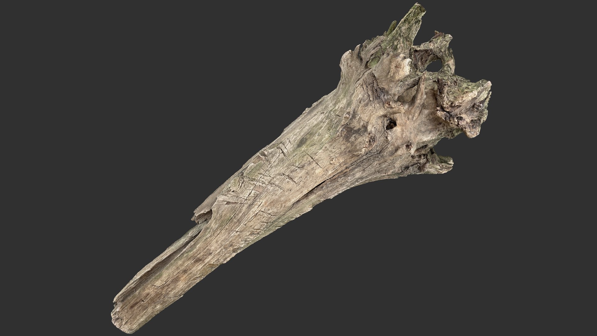 3D Withered Tree Trunk 3d Scan - TurboSquid 2148542