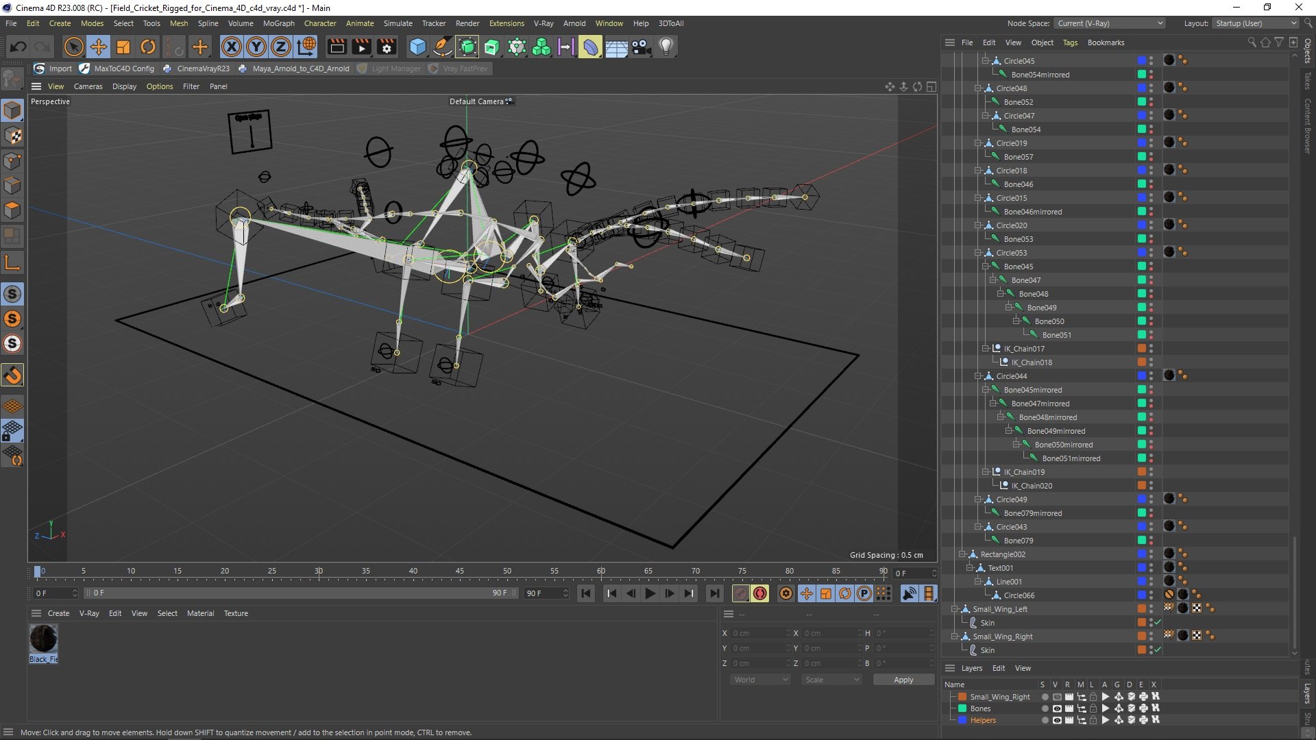 Field Cricket Rigged For Cinema 4D Model - TurboSquid 2325578