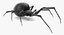 Widow Spider with Fur Modèle 3D