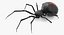 Widow Spider with Fur Modèle 3D