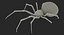 Widow Spider with Fur Modèle 3D