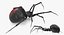 Widow Spider with Fur Modèle 3D