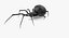 Widow Spider with Fur Modèle 3D