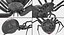Widow Spider with Fur Modèle 3D