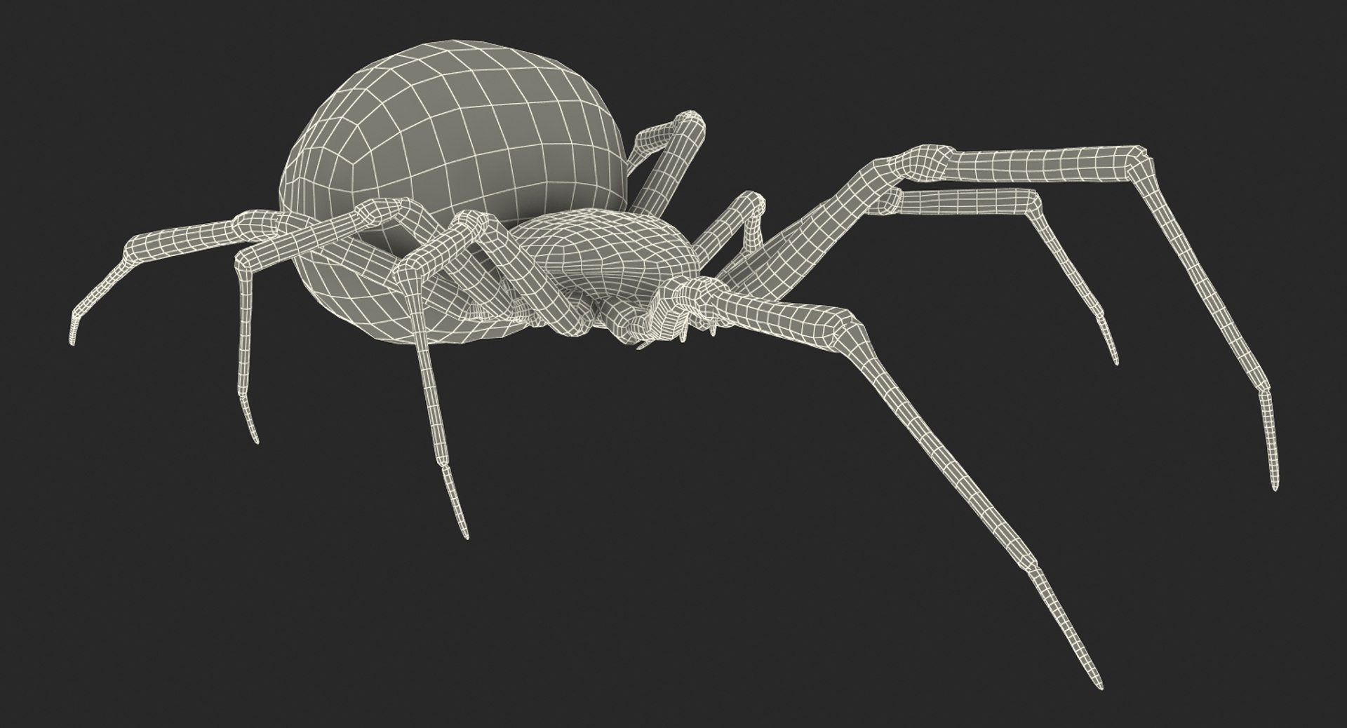 widow spider fur 3D https://p.turbosquid.com/ts-thumb/eH/7EFg1K/tC8fL2zj/widowspiderwithfurc4dmodel017/jpg/1496388347/1920x1080/fit_q87/22fef13225af7743e6f04f09927f81503c2716e6/widowspiderwithfurc4dmodel017.jpg