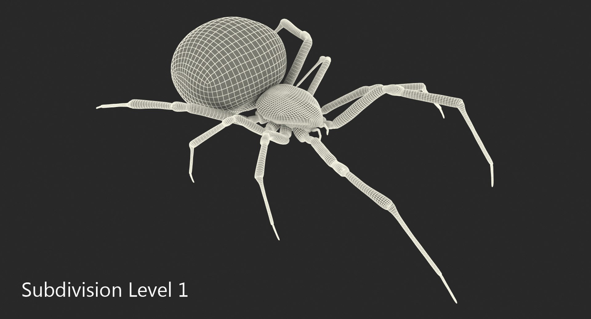 widow spider fur 3D https://p.turbosquid.com/ts-thumb/eH/7EFg1K/vYznKPvT/widowspiderwithfurc4dmodel011/jpg/1496388347/1920x1080/fit_q87/1223c84da57570837208807123fc474f7186fc7d/widowspiderwithfurc4dmodel011.jpg