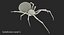 Widow Spider with Fur Modèle 3D