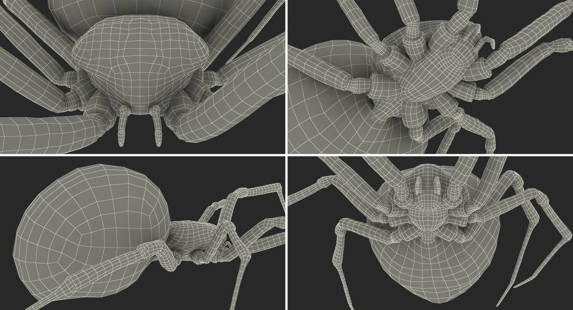widow spider fur 3D https://p.turbosquid.com/ts-thumb/eH/7EFg1K/xw93aGbt/widowspiderwithfurc4dmodel019/jpg/1496388347/1920x1080/fit_q87/591f09f7ec0407b02b1e16cfd8bac82475e0dd93/widowspiderwithfurc4dmodel019.jpg