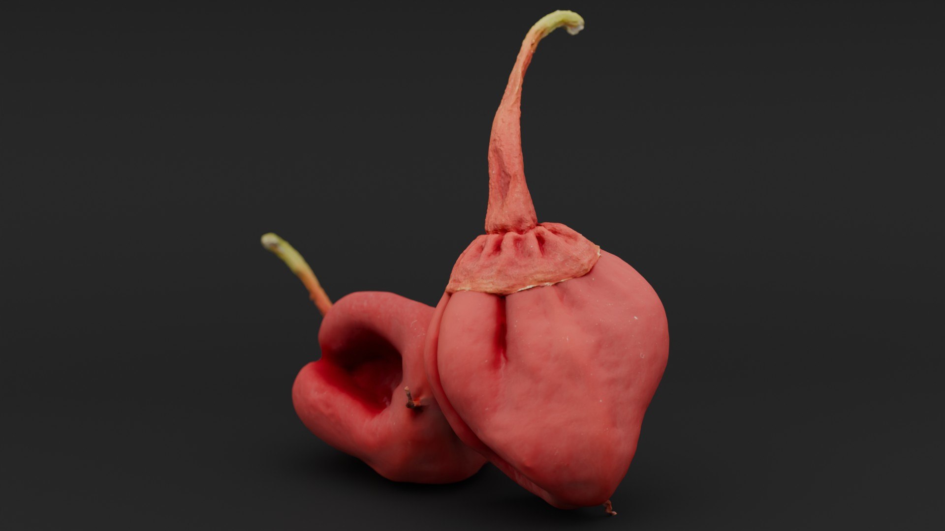 3D 7 Pot Bubblegum Pepper model https://p.turbosquid.com/ts-thumb/eH/DSyBxi/CE/3/jpg/1791199701/1920x1080/fit_q87/541cd34fc349b74fa373e403068f33c4e30e2f0c/3.jpg