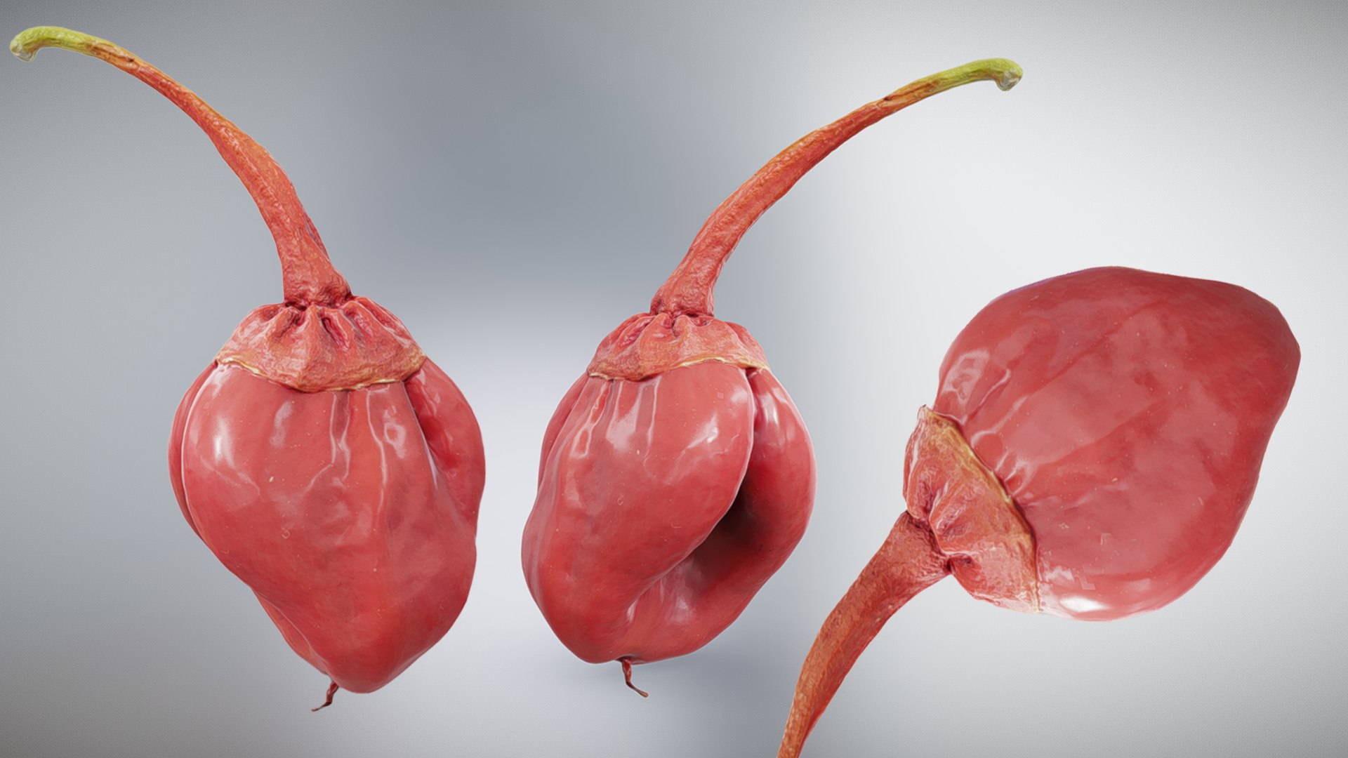 3D 7 Pot Bubblegum Pepper model https://p.turbosquid.com/ts-thumb/eH/DSyBxi/EG/untitled1/jpg/1791199438/1920x1080/fit_q87/a2198e7de6cce94e2a92604939f8d5661b458730/untitled1.jpg