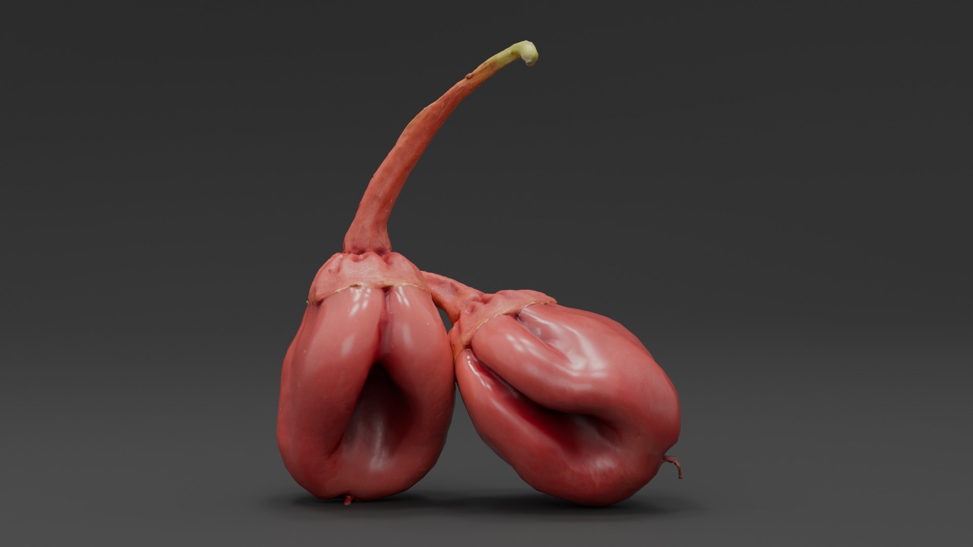 3D 7 Pot Bubblegum Pepper model https://p.turbosquid.com/ts-thumb/eH/DSyBxi/YZ/p1/jpg/1791199438/1920x1080/fit_q87/d7b8837f31ca4b7b3ed6644e8b452d7b96b8fd62/p1.jpg