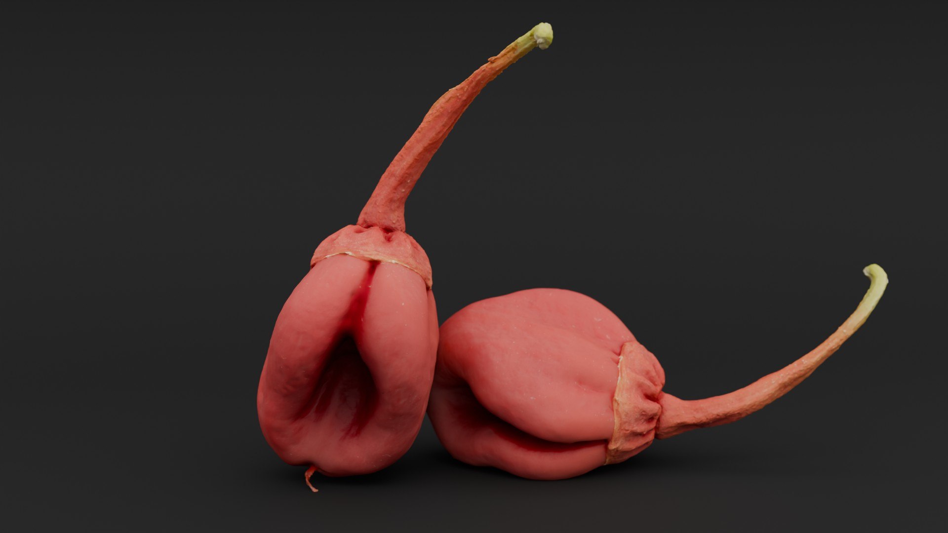 3D 7 Pot Bubblegum Pepper model https://p.turbosquid.com/ts-thumb/eH/DSyBxi/tx/2/jpg/1791199683/1920x1080/fit_q87/aebf3976584d02f0752cf8dac42019ccab121323/2.jpg