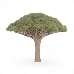 3D Pine needle trees ancient pine bonsai potted guest welcome pine lohan Pine ancient green pine green