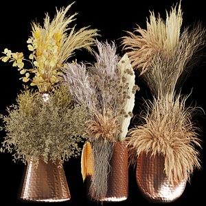 Collection plant vol 261- Bouquet - dried - flowers