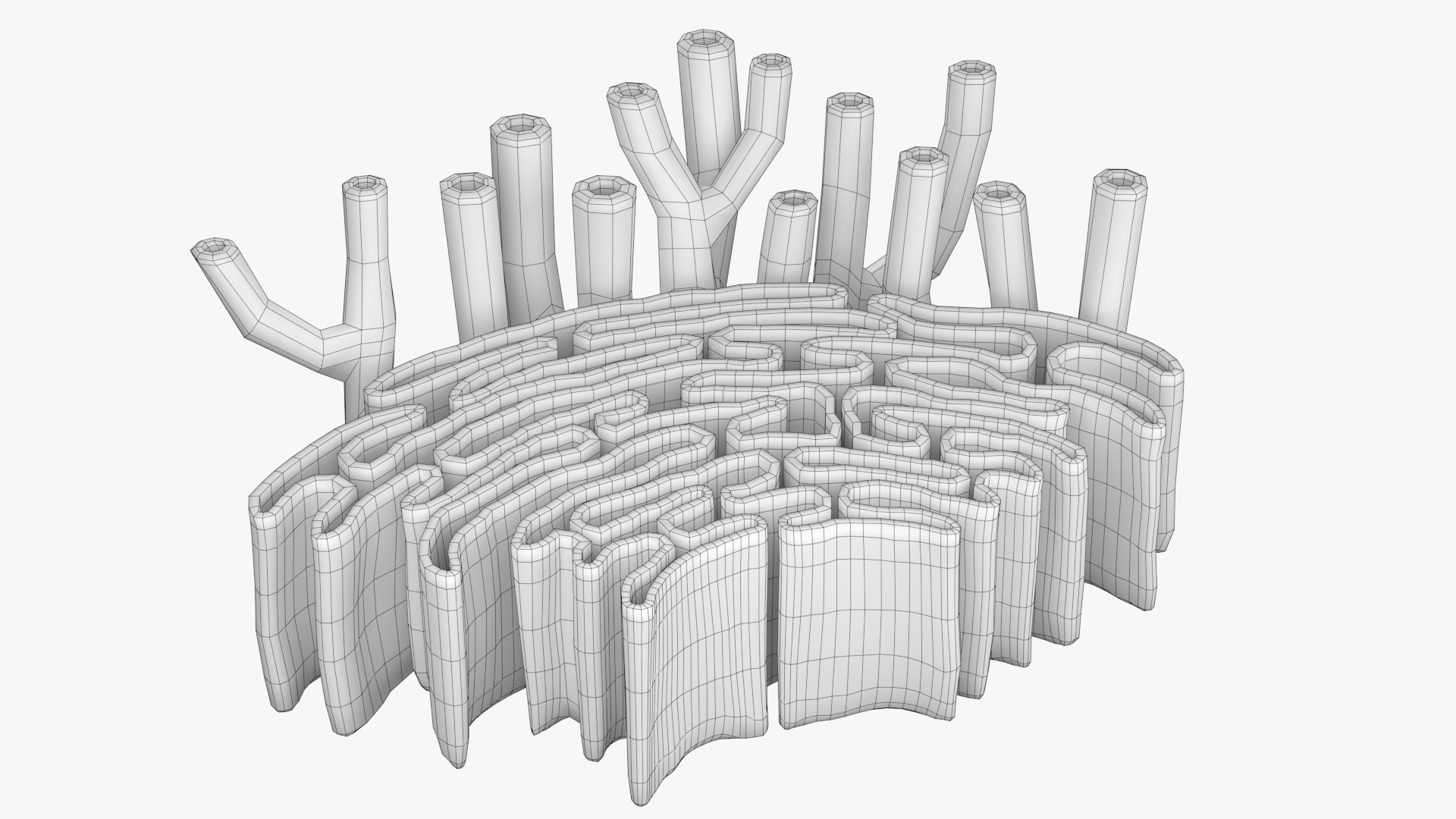 Endoplasmic Reticulum 3D Model - TurboSquid 1966374