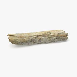 driftwood wood 3D