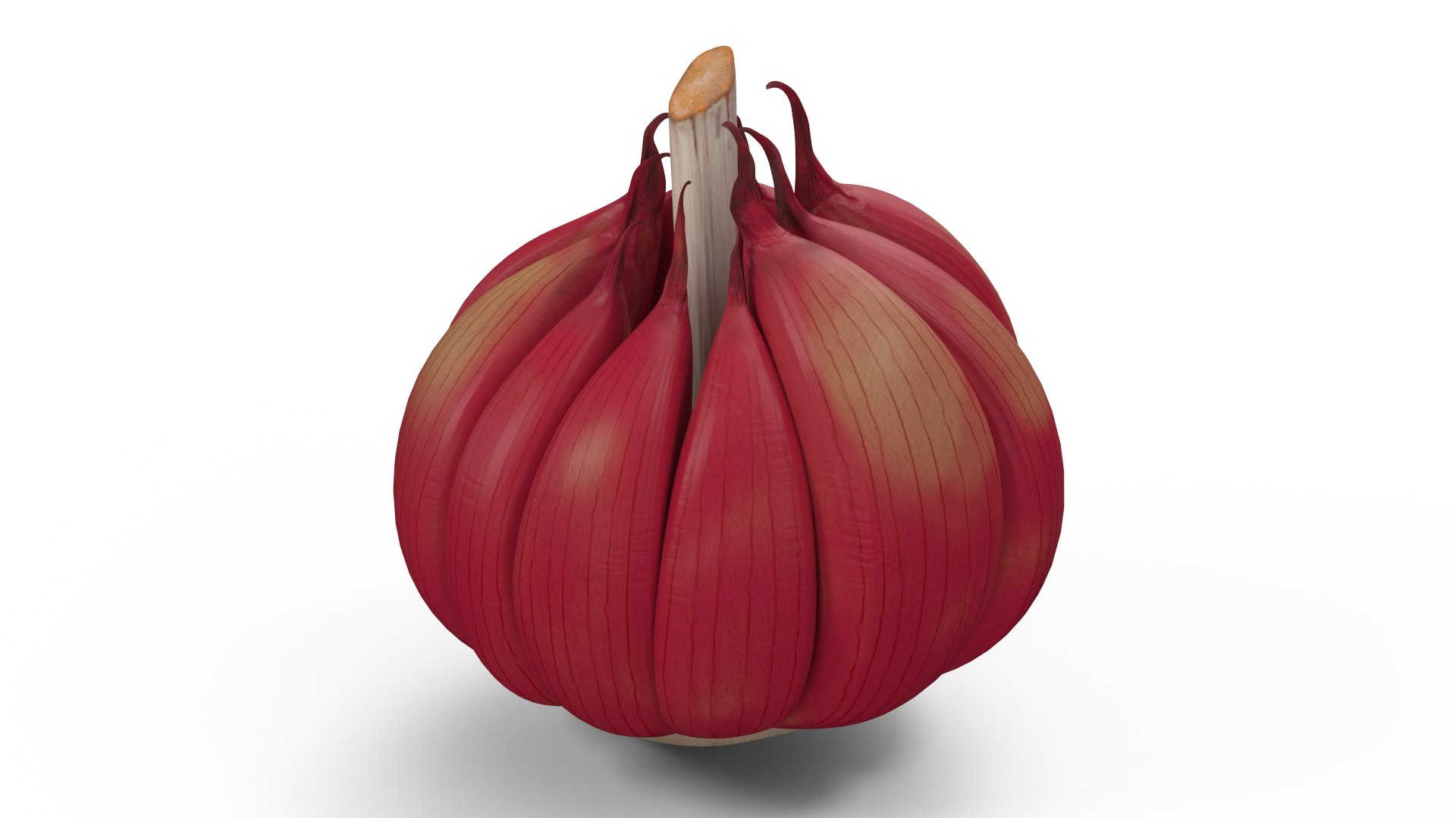 Head of Garlic Red 3D model preview