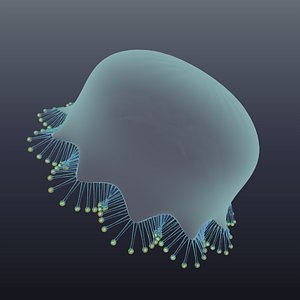 3D model realistic jellyfish