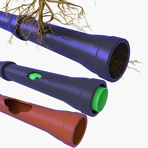 Broken Sewer Pipes v5 3D