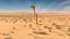 Paisagem do deserto