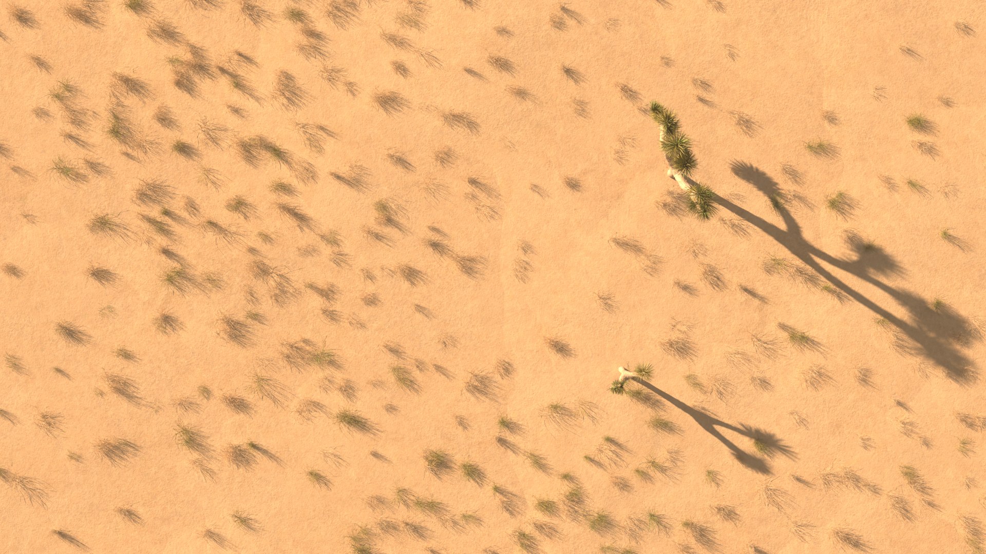 3D desert landscape model https://p.turbosquid.com/ts-thumb/eH/jeNEoD/5zbUs783/08/jpg/1545290870/1920x1080/fit_q87/3d74c0cdff227d14c8fb426913b8022370fab4ed/08.jpg