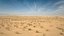 Paisagem do deserto