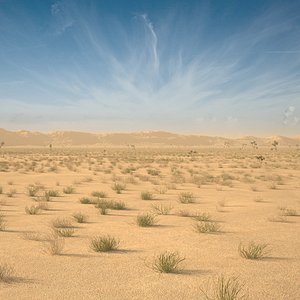 Desert Landscape