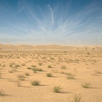 Desert Landscape