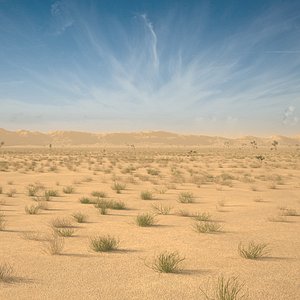 Desert Landscape