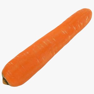 3D food vegetable carrot model