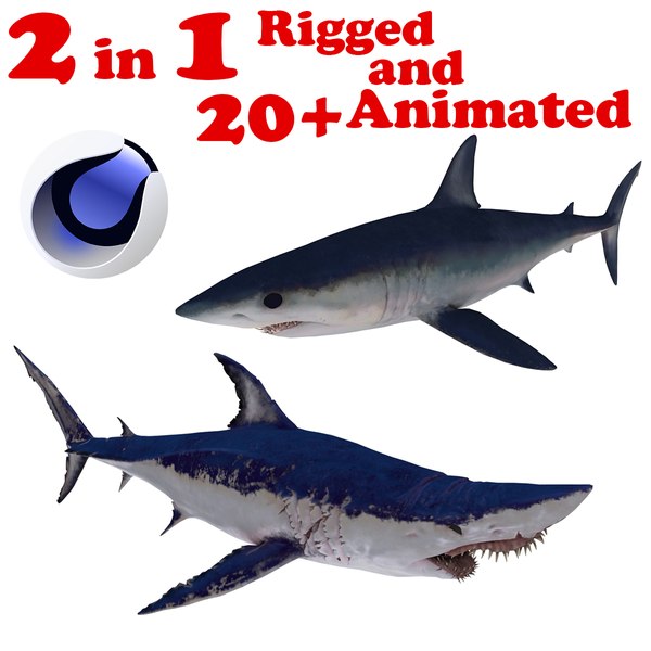 mako shark 2 in 1 rigged and animated 3d model